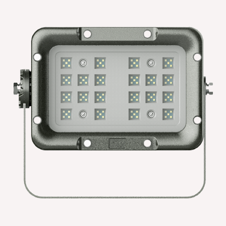 Explosion Proof Light-1